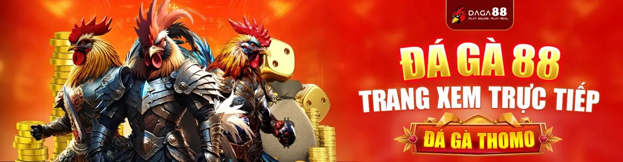 Sân đấu đá gà trực tuyến sôi động tại AW8